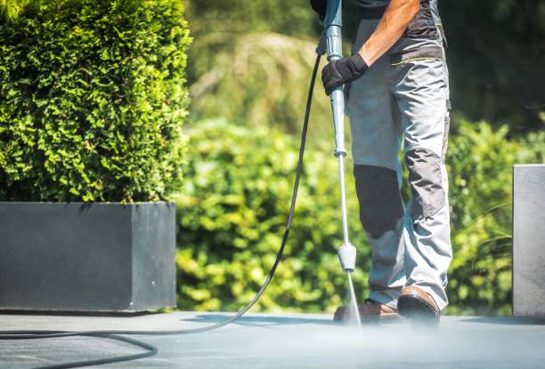 Best Roof Washing  in Berea, OH